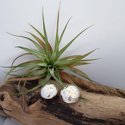 Silver half ball domed earrings